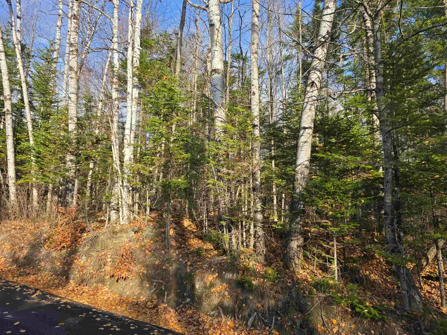 Hawkins Road, Dummer, NH 03588 - Image #3