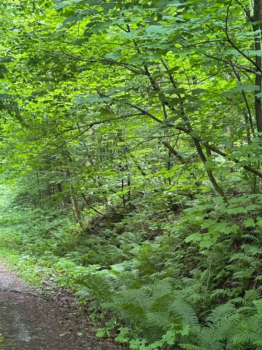 680 Deming Road, Enosburg, VT 05450 - Image #2