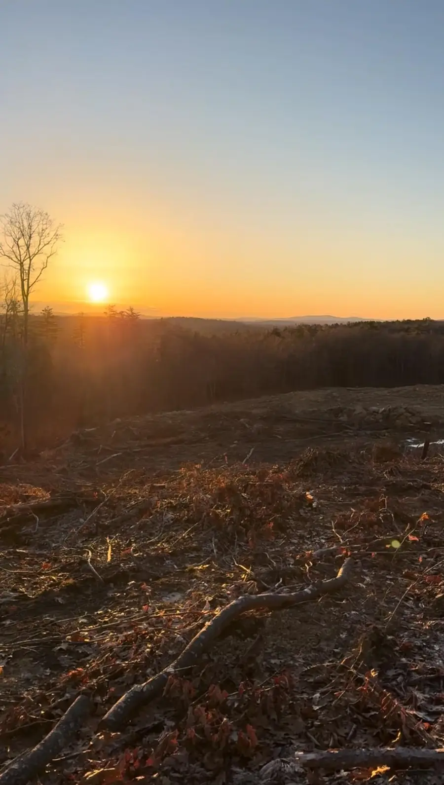 306 Baptist Hill Road #0300, 0200, Canterbury, NH 03224 - Image #3