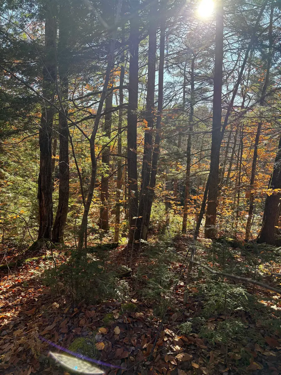 Lot 77-7 East Washington Road, Washington, NH 03280 - Image #2