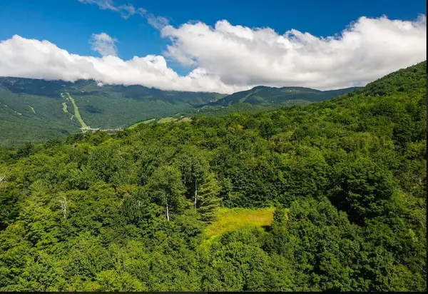 00 Robinson Springs Road #71, Stowe, VT 05672