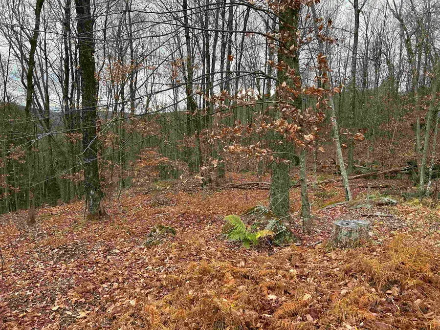 0 Pound Road, Sutton, NH 03221 - Image #2