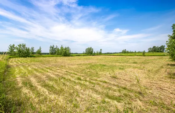 Lot 20 Rocky Shore Farm Road, St. Albans Town, VT 05478