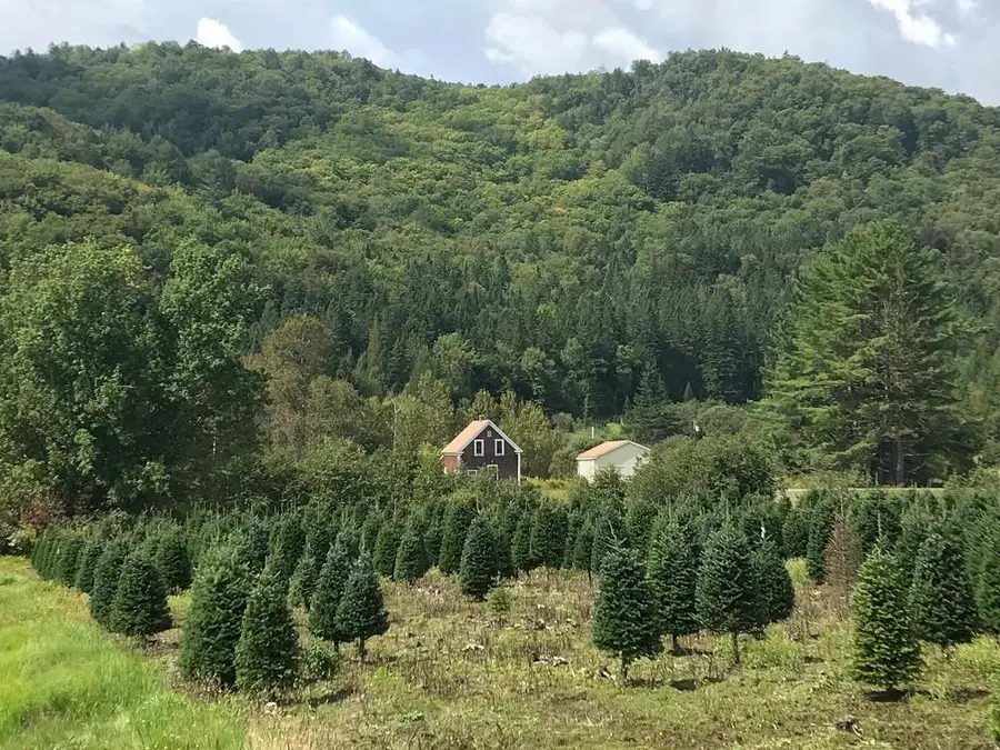 92 Bishop Brook Road, Stewartstown, NH 03576 - Image #3