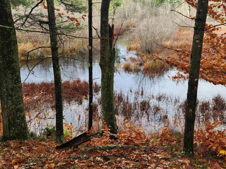 18 White Mountain Highway, Wakefield, NH 03872 - Image #3