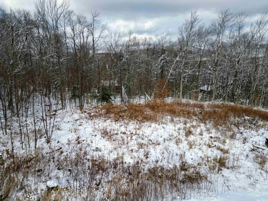 41 Moose Hollow Road, Winhall, VT 05340 - Image #2