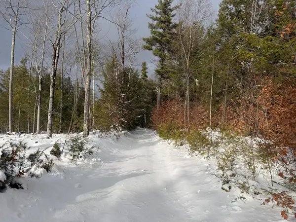 000 Dwinell Road, Troy, NH 03465