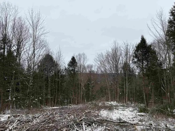 0 Fall Brook Road #4, Wheelock, VT 05851-000