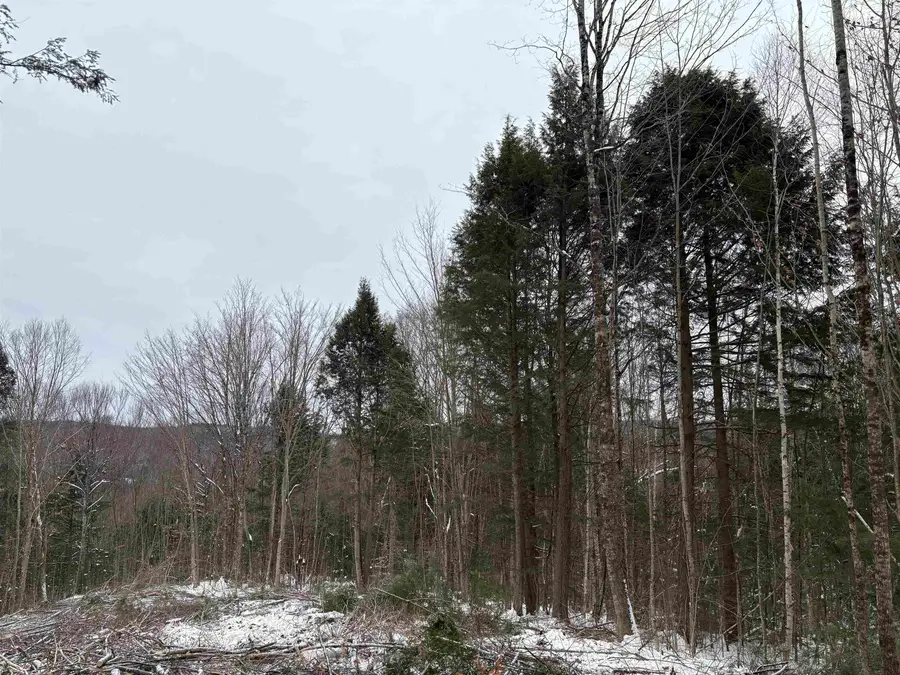 0 Fall Brook Road #4, Wheelock, VT 05851-000 - Image #3