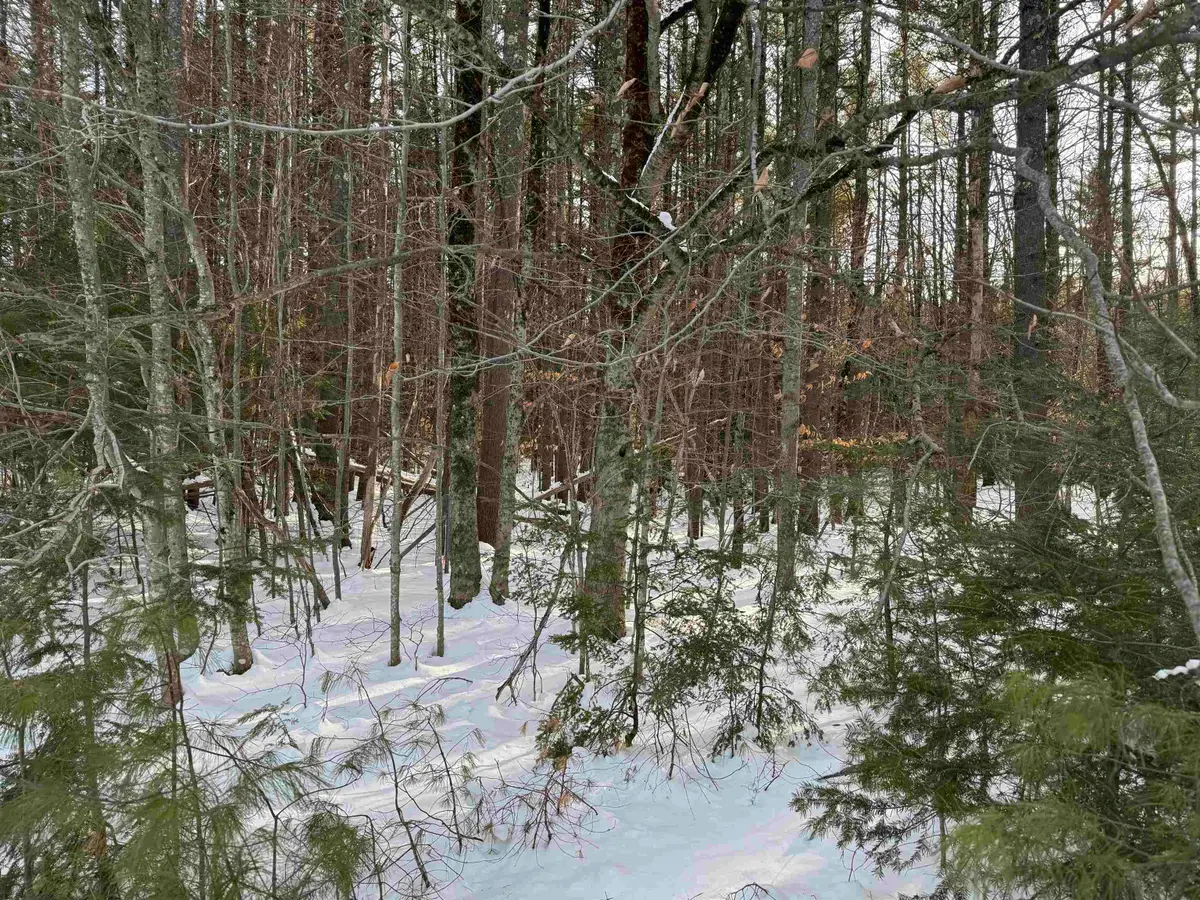 00 Route 25 W, West Ossipee, NH 03883 - Image #1