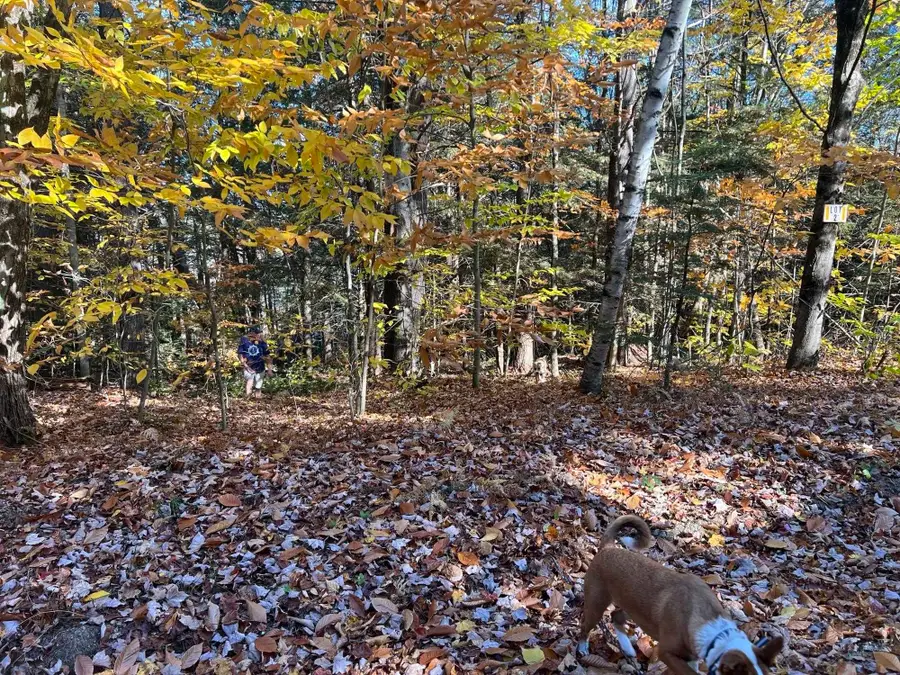 Lot 2 Laurel Lane, Wilmot, NH 03287 - Image #2