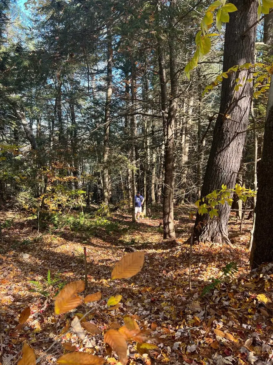 Lot 2 Laurel Lane, Wilmot, NH 03287 - Image #3