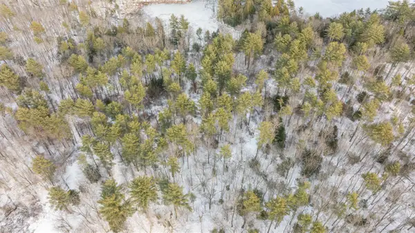 Lot 56-2 Chester Road, Auburn, NH 03032