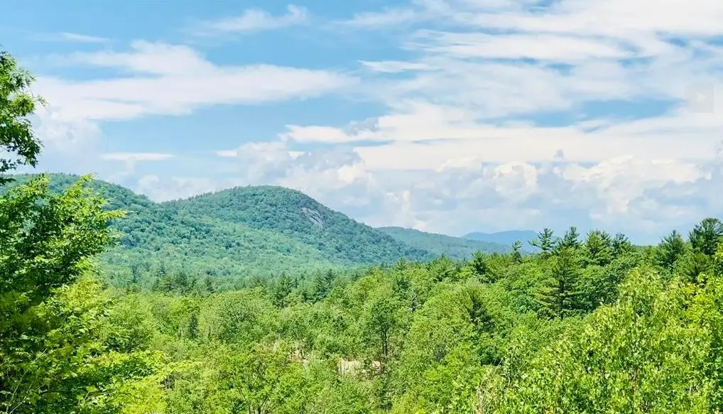 Village Corner Road, Wolfeboro, NH 03894 - Image #1