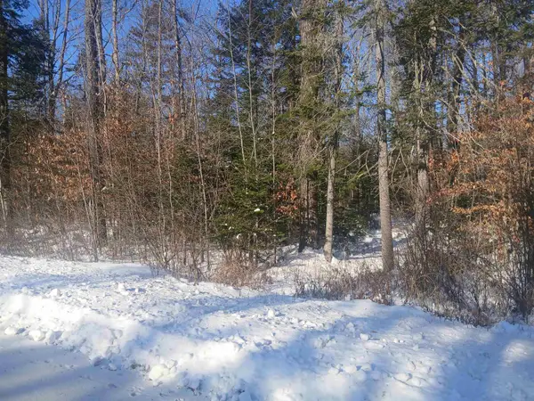 Lot#47-3 Grafton Pond Road, Enfield, NH 03748