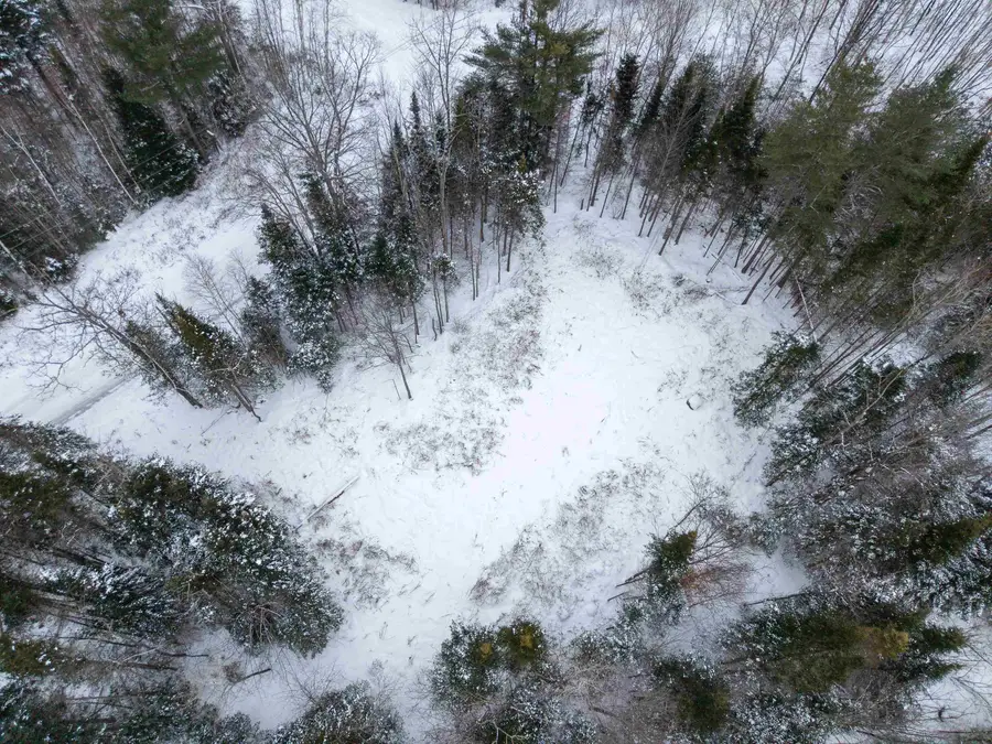 40 Bear Paw Trail, Littleton, NH 03561 - #2