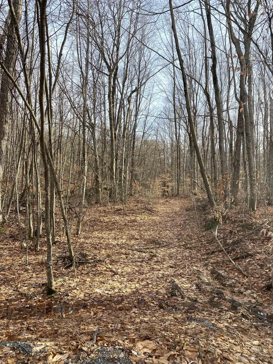 20 Forest Ridge Drive #14, Middlebury, VT 05753 - Image #2