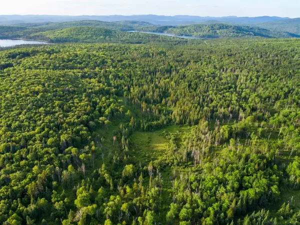 7 & 8 Diamond Pond Park Road #B, Stewartstown, NH 03576