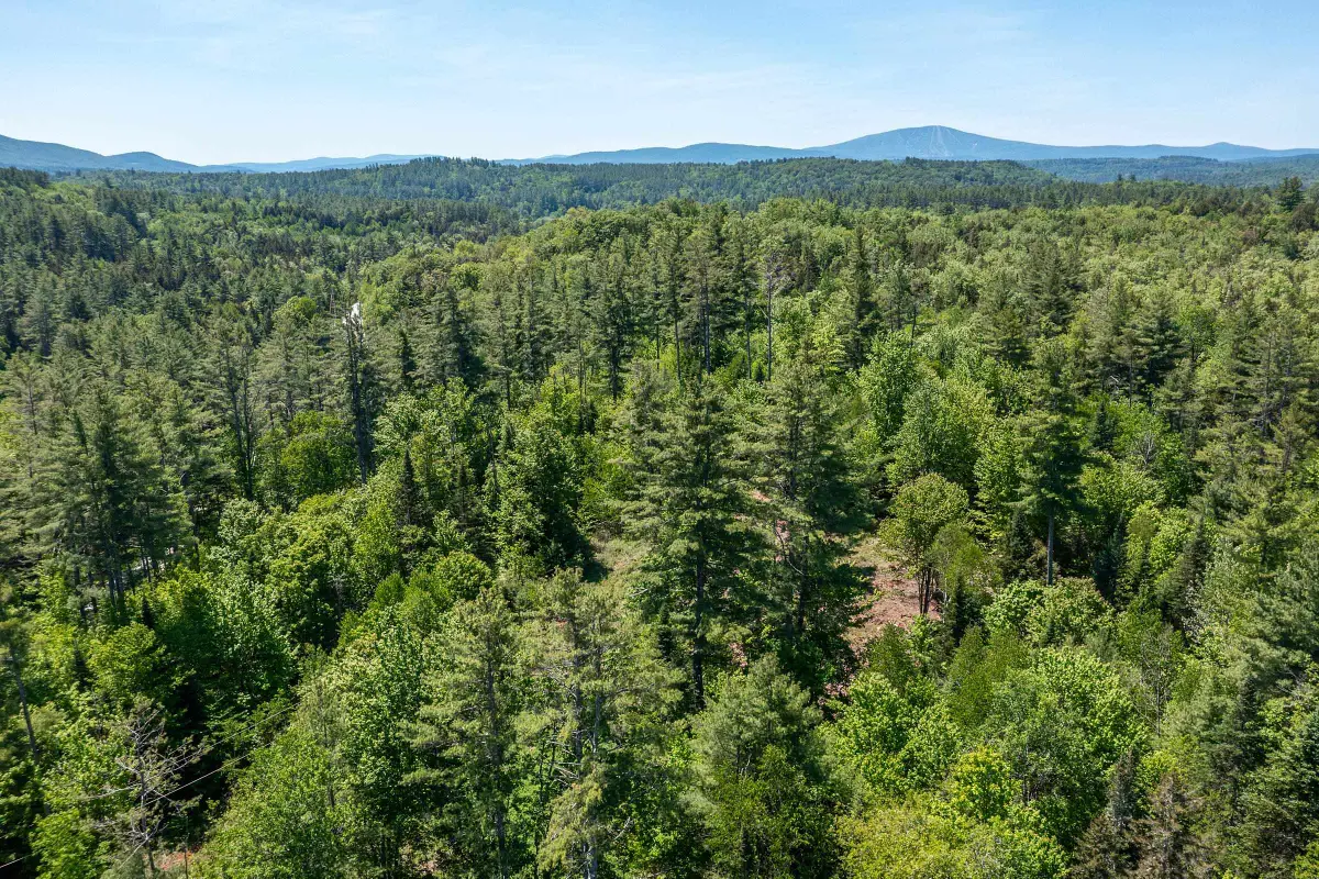 0 VT Route 100, Londonderry, VT 05148 - #1