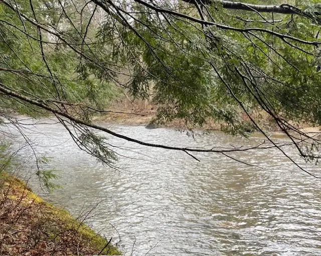 191 Pingree Park Lane, Londonderry, VT 05148 - Image #2