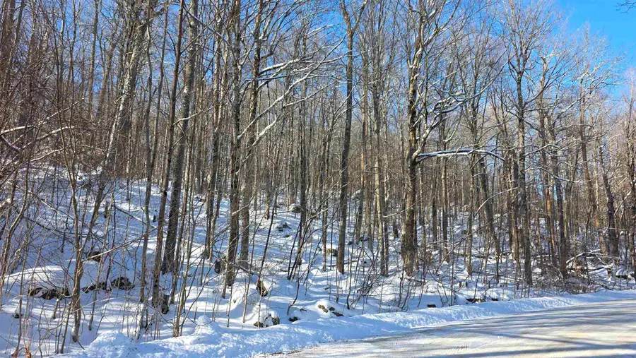 M111 L24&25 Tigola Trail, Stoddard, NH 03464 - Image #2