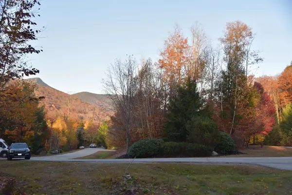16 Yellow Birch Circle, Lincoln, NH 02351