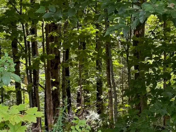 VT Route 14, Albany, VT 05820