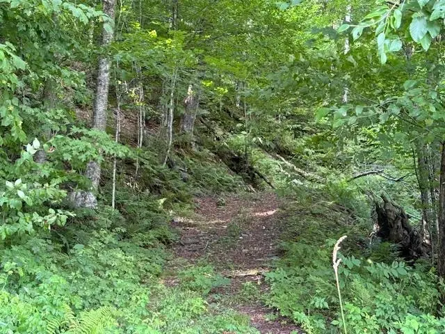 VT Route 14, Albany, VT 05820 - Image #2