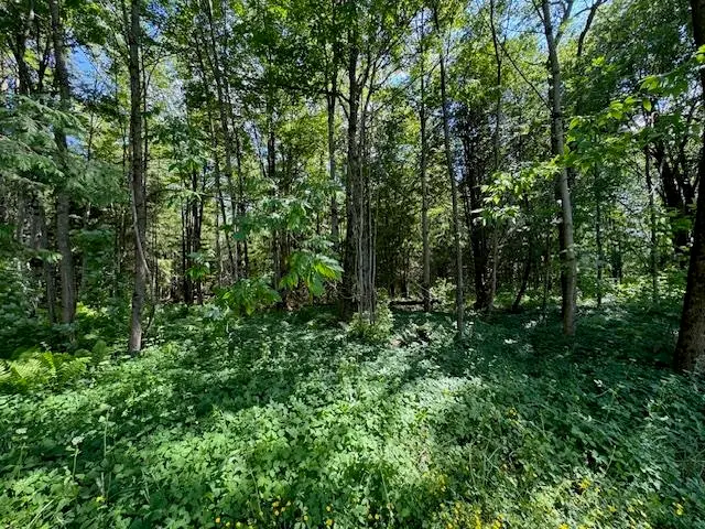 VT Route 14, Albany, VT 05820 - Image #3