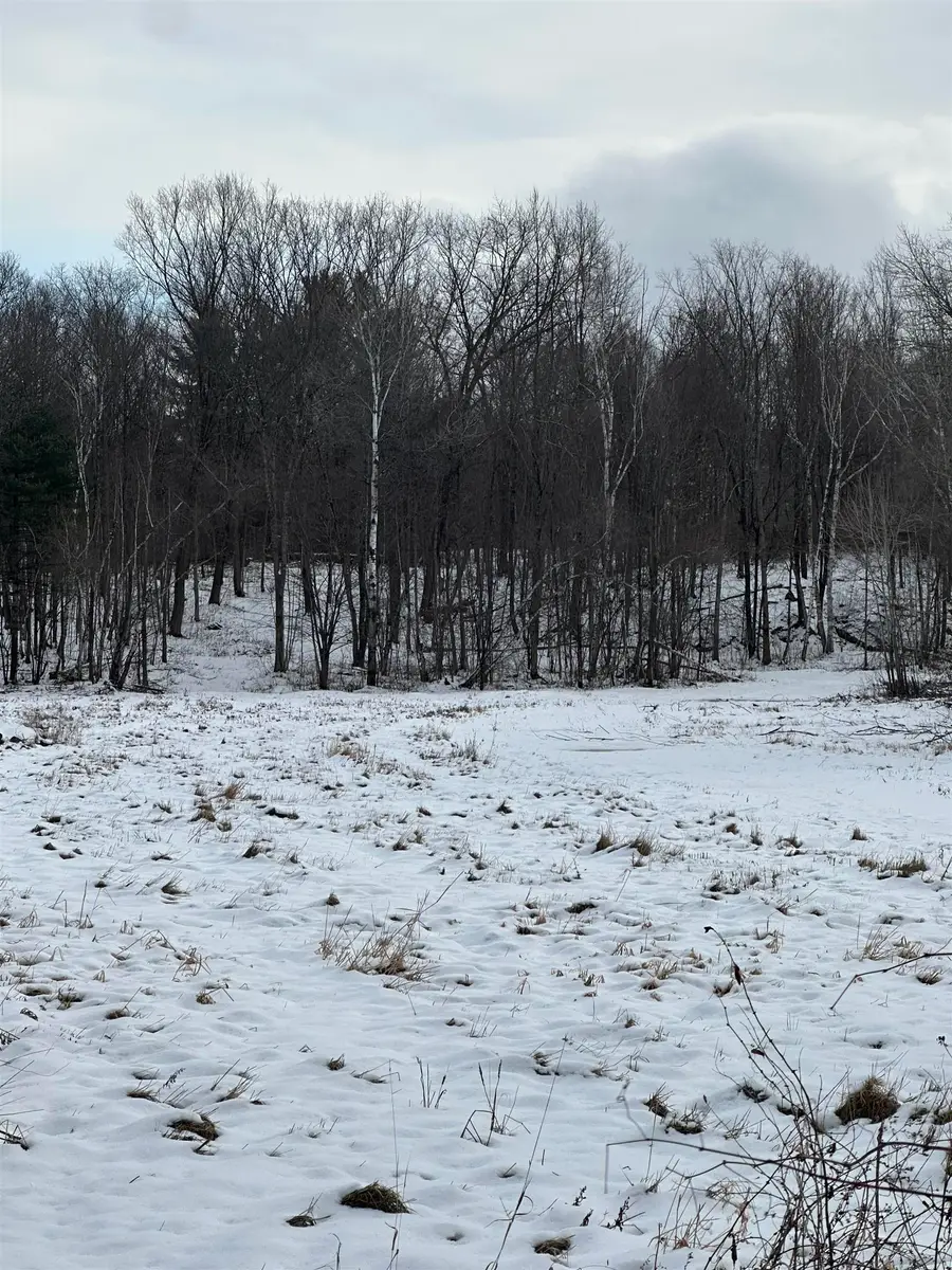 0 Columbus Smith Road, Salisbury, VT 05769 - Image #3