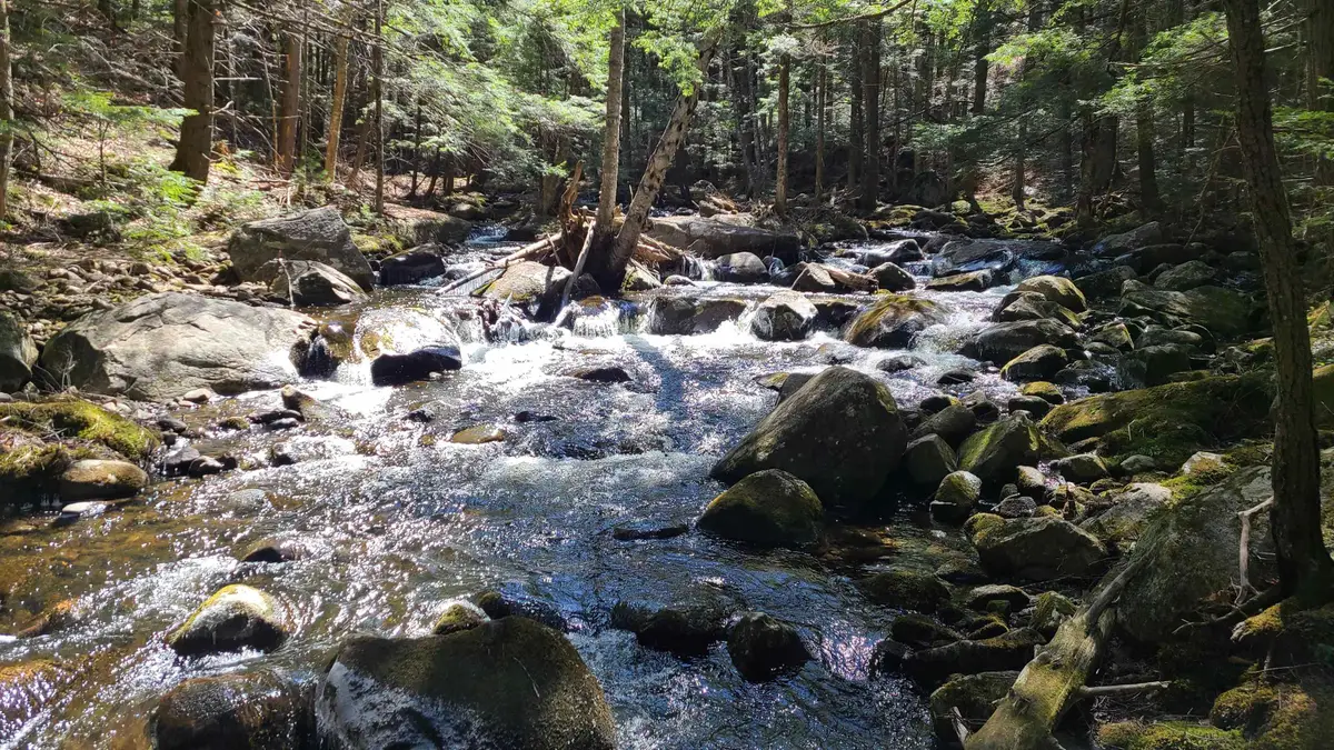 11 Clay Brook Drive, Plymouth, NH 03264 - Image #1