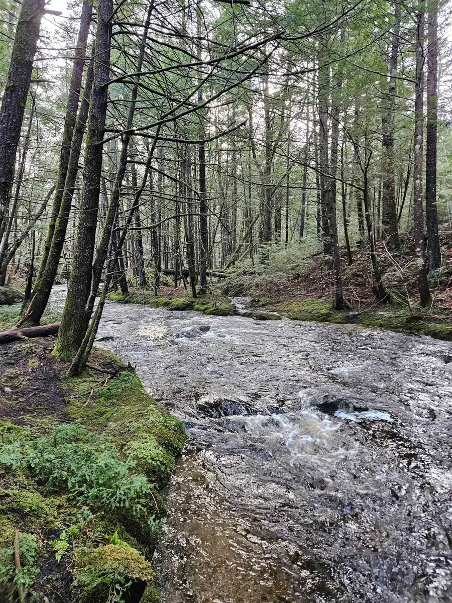 11 Clay Brook Drive, Plymouth, NH 03264 - Image #2