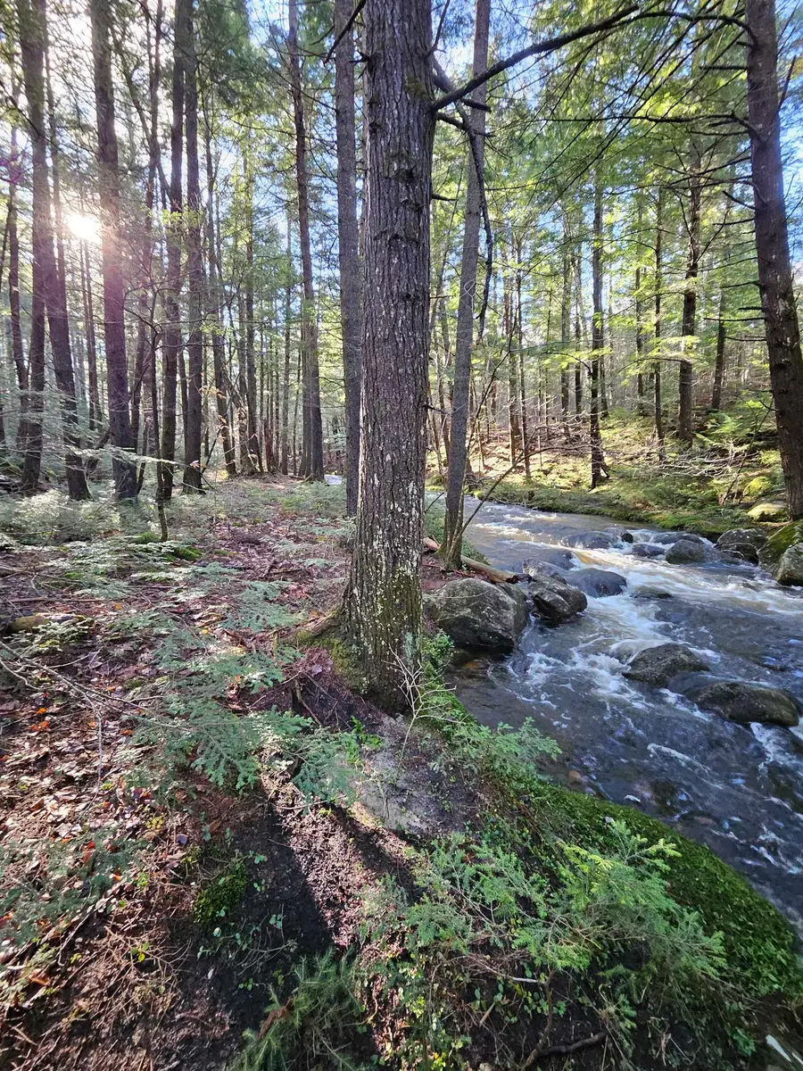 11 Clay Brook Drive, Plymouth, NH 03264 - Image #3