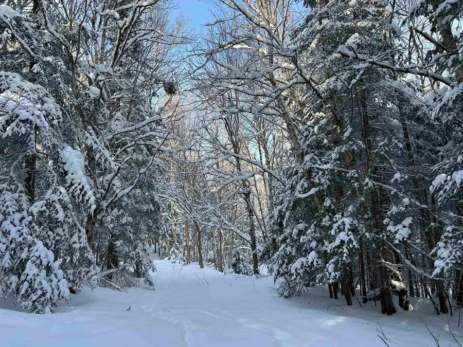 242 Noyes Road, Stewartstown, NH 03576 - Image #3