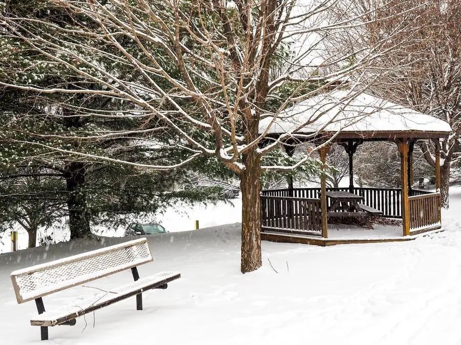 229 Juniper Drive, South Burlington, VT 05403 - Image #3