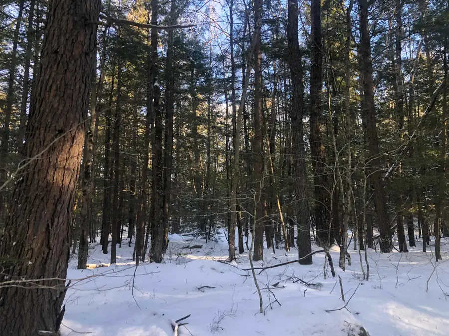 0 Chesterfield Road, Keene, NH 03431 - Image #2