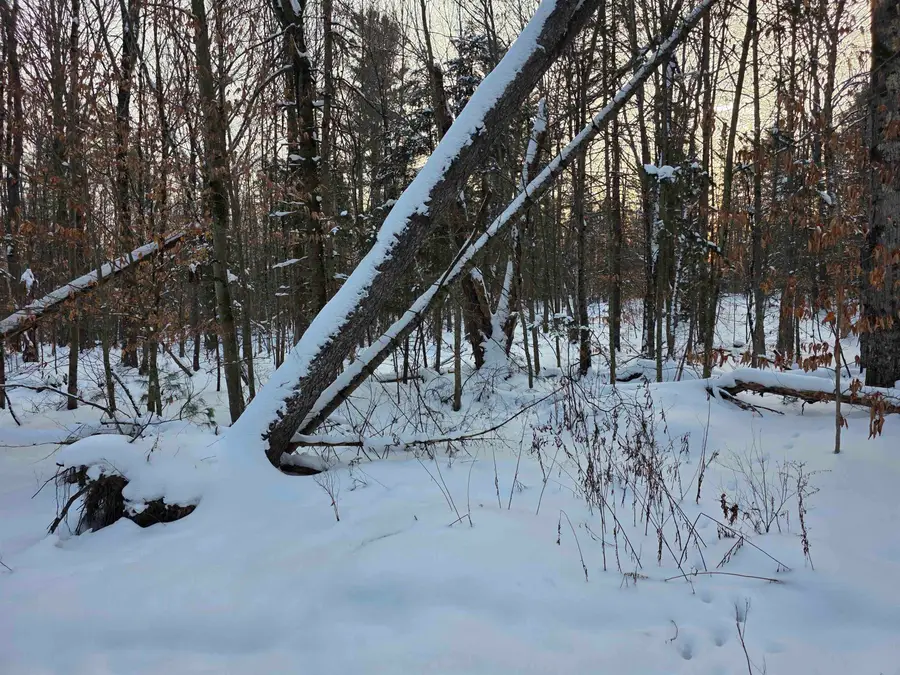 00 Fire Brook Road, Ripton, VT 05760 - Image #3