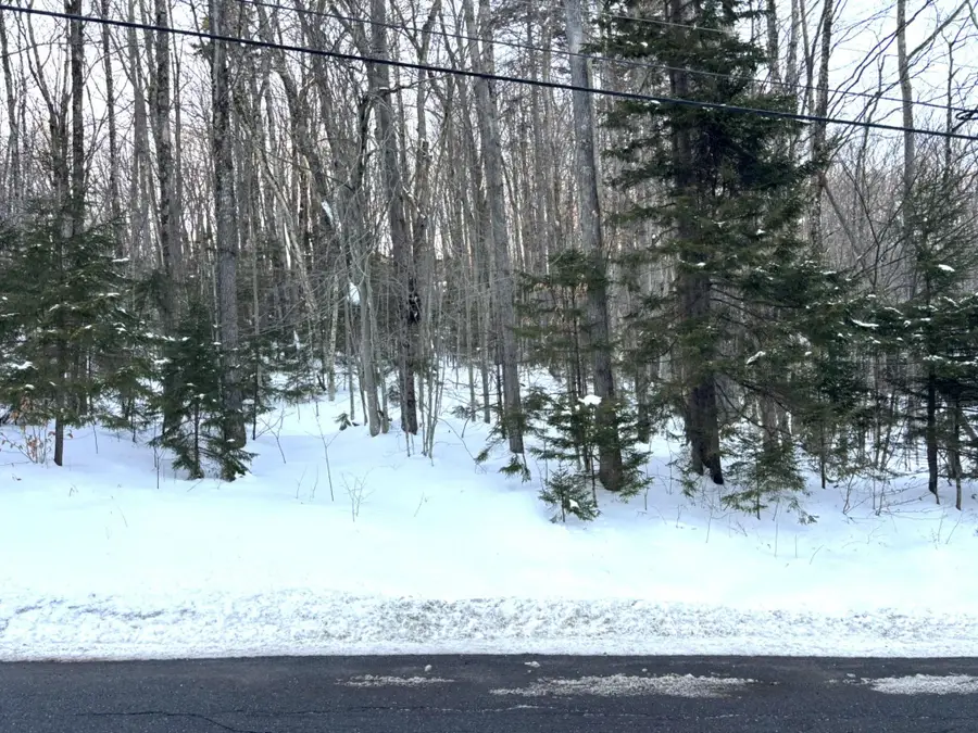 12 Buckboard Drive, Dover, VT 05356 - Image #2