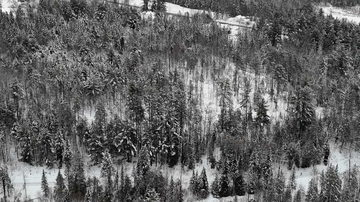 00 Wheelock Road, Sutton, VT 05867 - Image #1