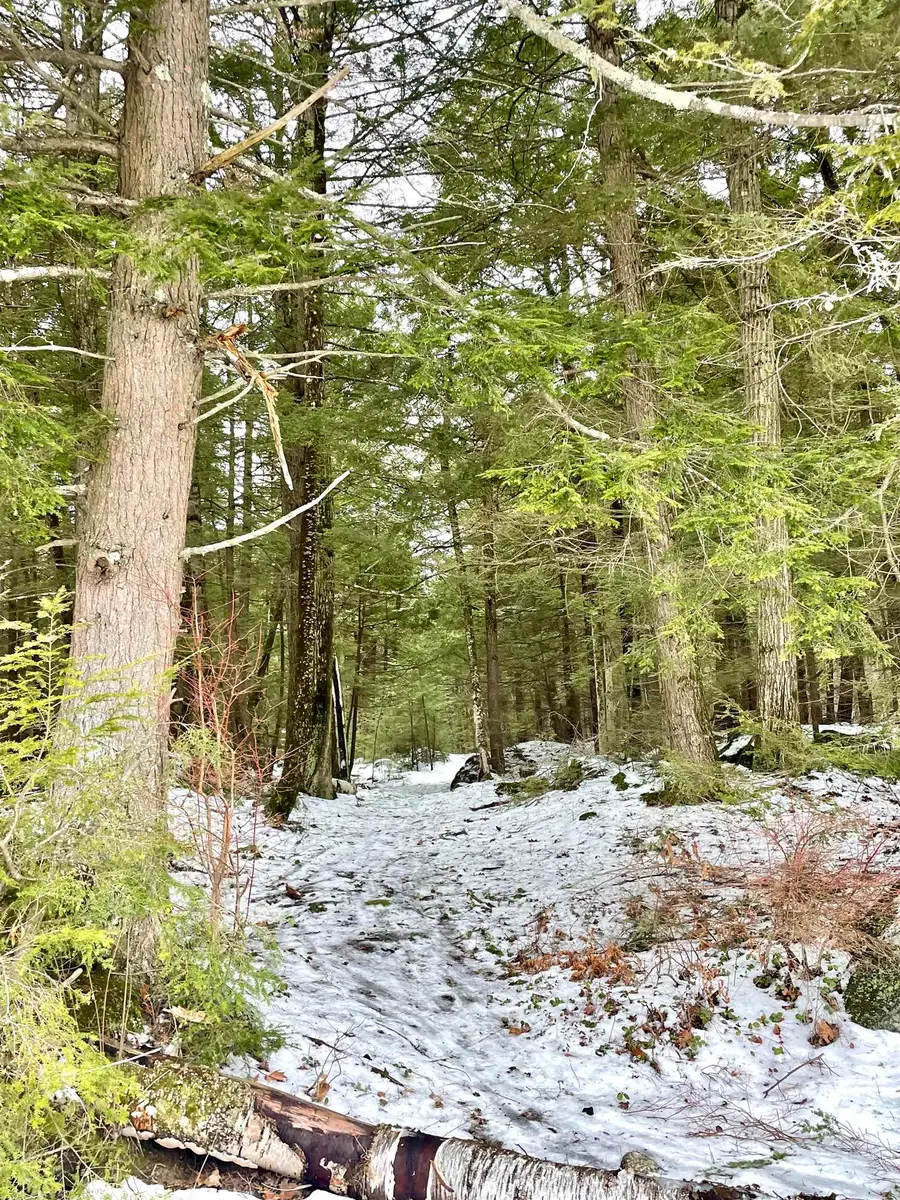 332 Gleason Falls Road #Map 5 lot 87 and map 8 lot 146, Hillsborough, NH 03244 - #2