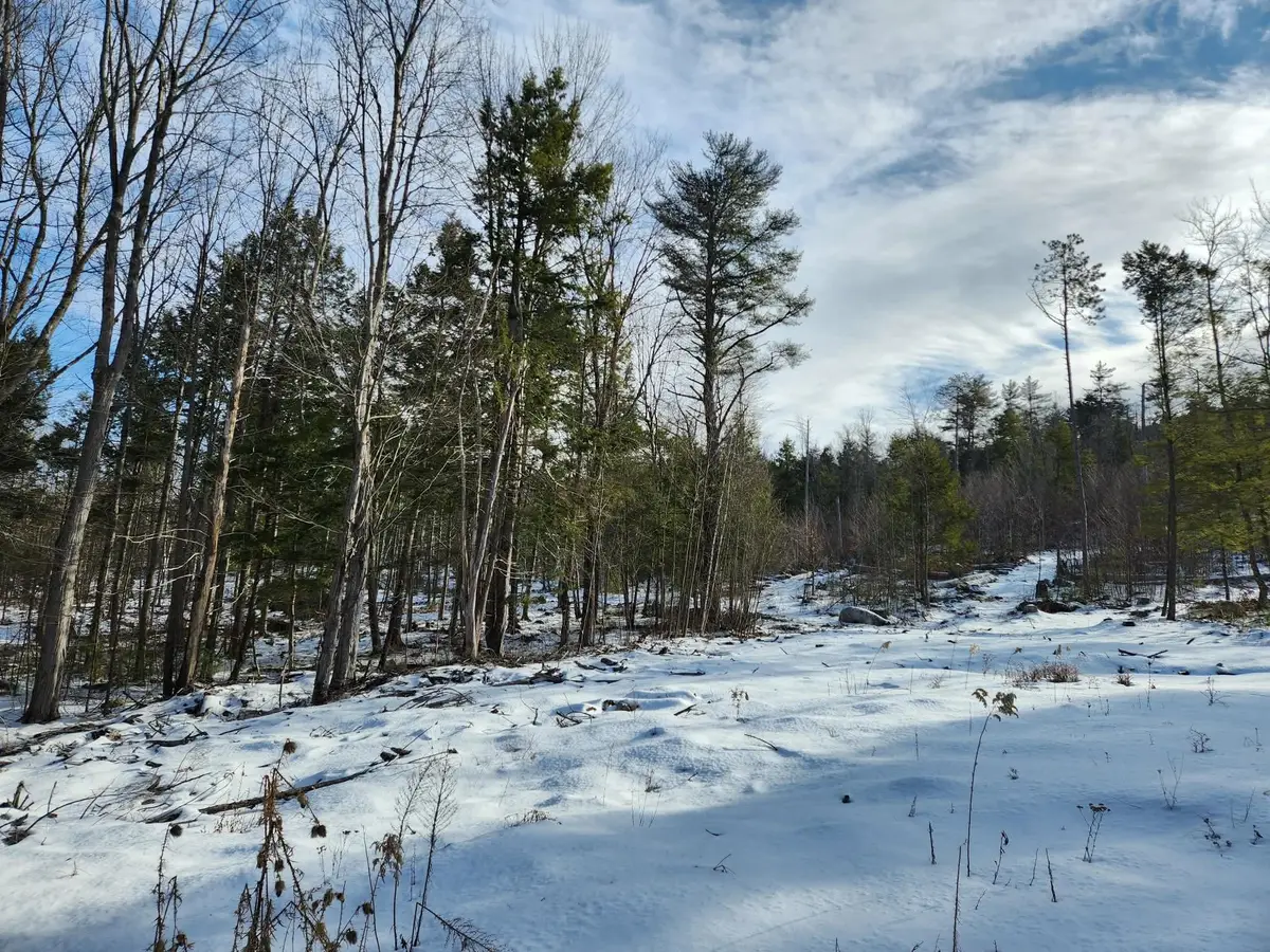 0 Munsey Road #123-10-6, Gilmanton, NH 03237 - Image #1
