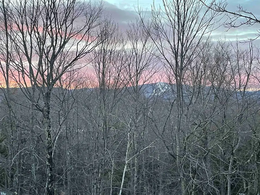 #7 Stratton West Road, Winhall, VT 05340 - Image #3