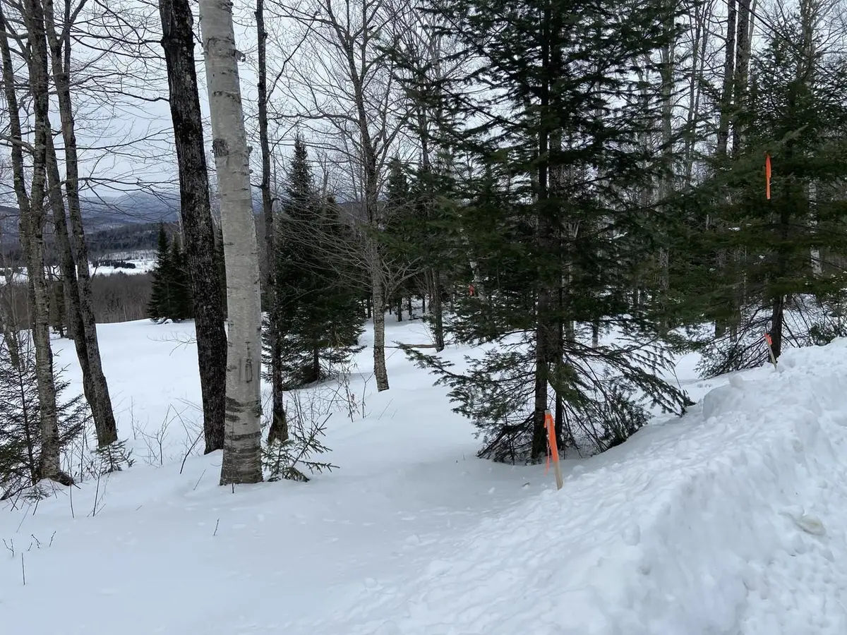 48 Alberts Lane, Warren, VT 05674 - Image #1