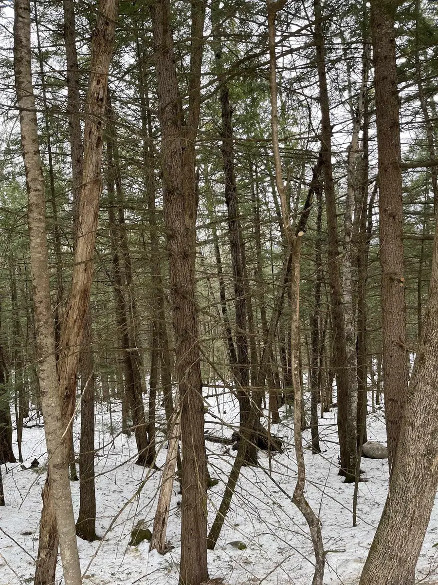 2-16 Morrill Circle, Campton, NH 03223 - #2