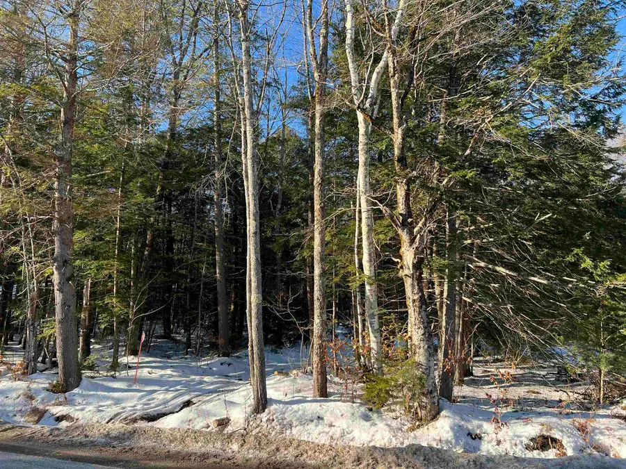 470 Tasker Hill Road, Madison, NH 03818 - Image #2