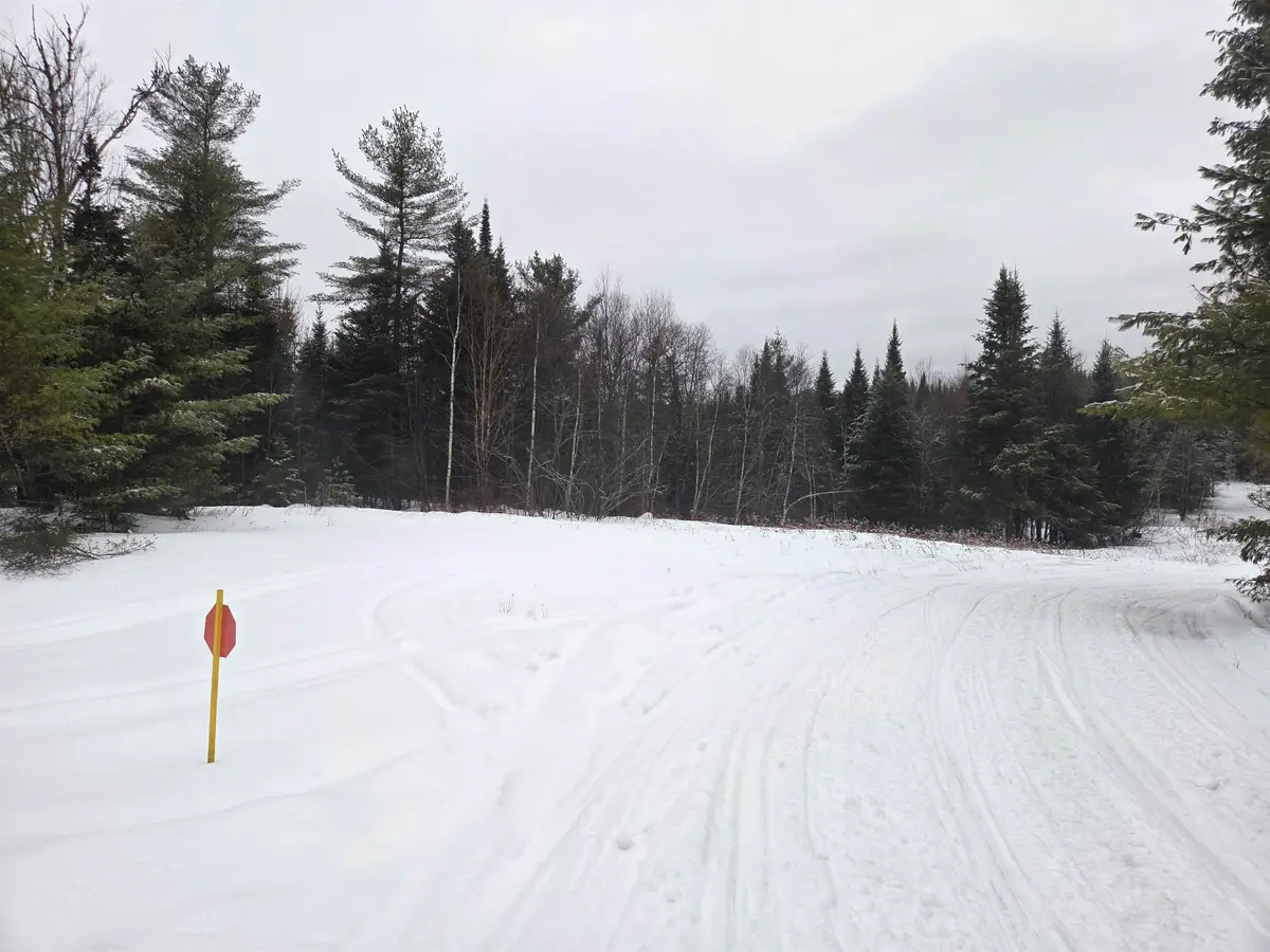 0 Bell Hill Road, Stark, NH 03582 - Image #1