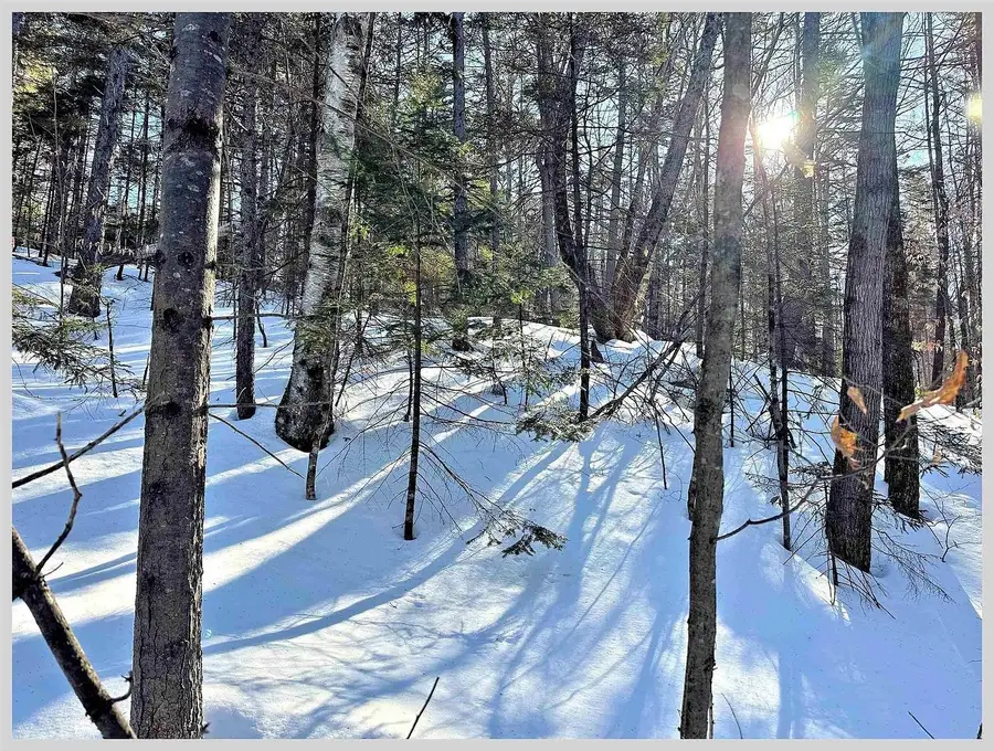 10 Issax Fox Road #D-10, Section 10, Campton, NH 03223 - Image #2