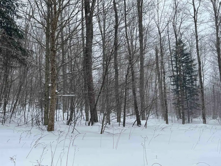 2924 New Duck Pond Road, Sheffield, VT 05866 - Image #3