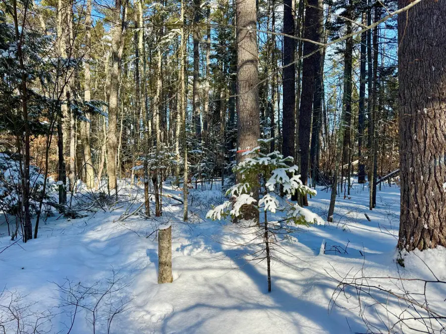 00 Swans Falls Road #Lot A, Fryeburg, ME 04037 - #3