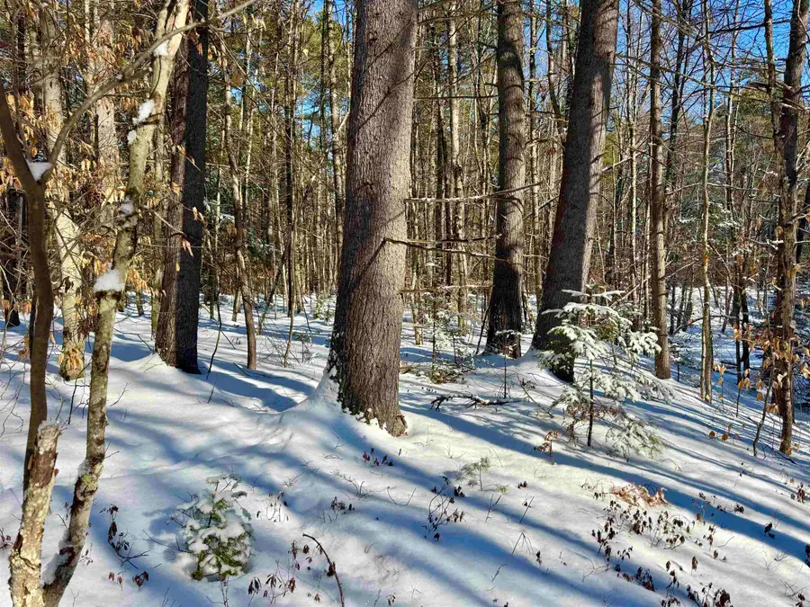 00 Swans Falls Road #Lot B, Fryeburg, ME 04037 - #3